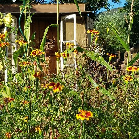 RougegoutteLe Jardin Des Gouttes住宿加早餐旅馆 外观 照片