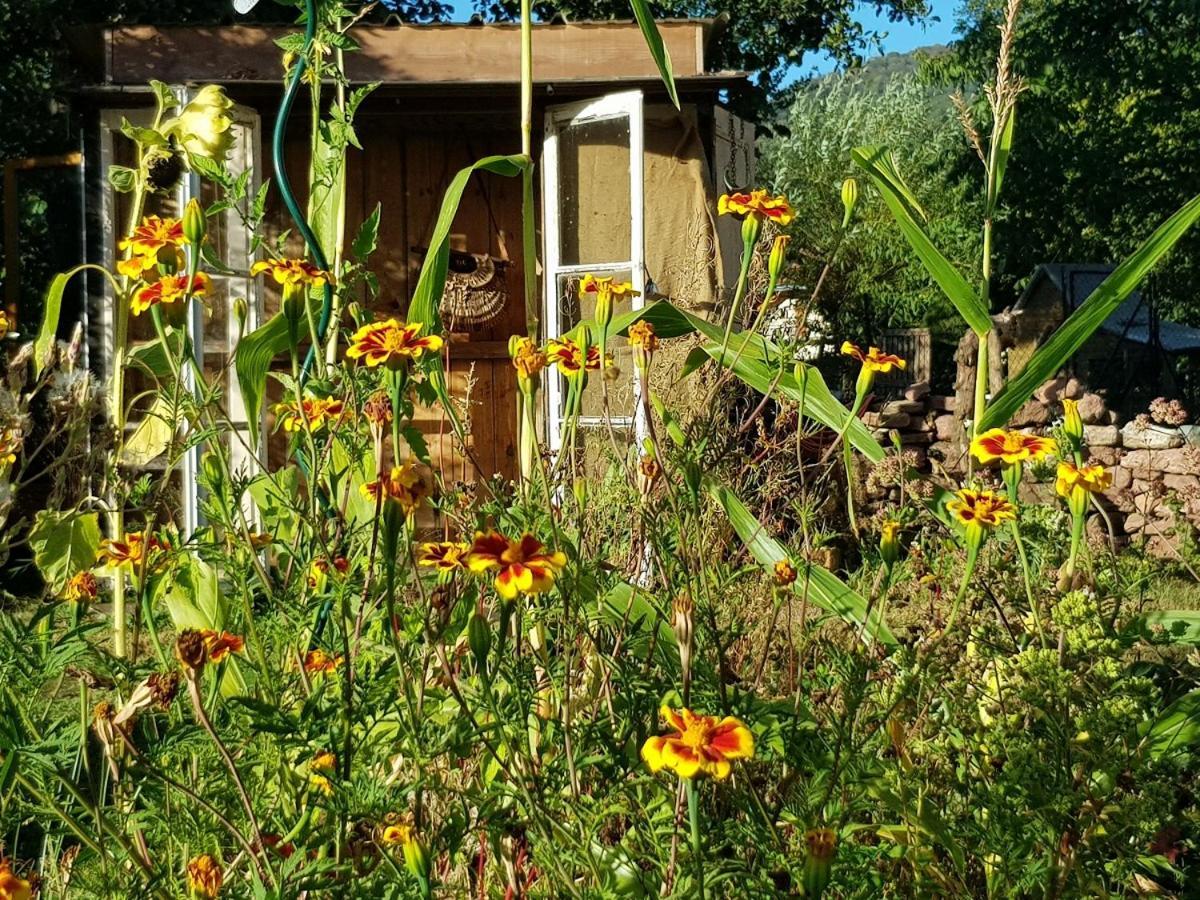 RougegoutteLe Jardin Des Gouttes住宿加早餐旅馆 外观 照片